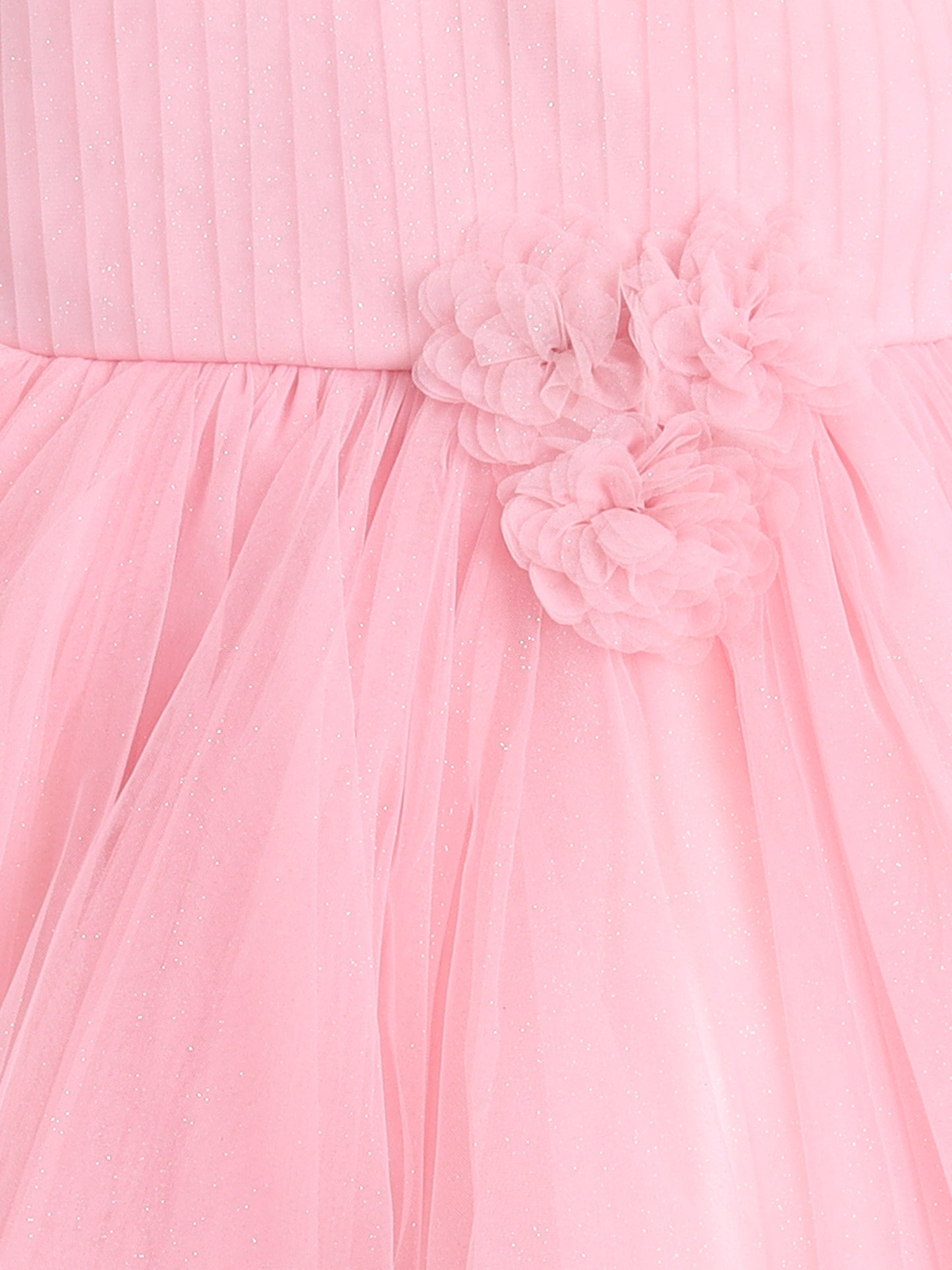 Sleeveless Floral Embroidered & Corsage Layered Net Party Dress - Pink