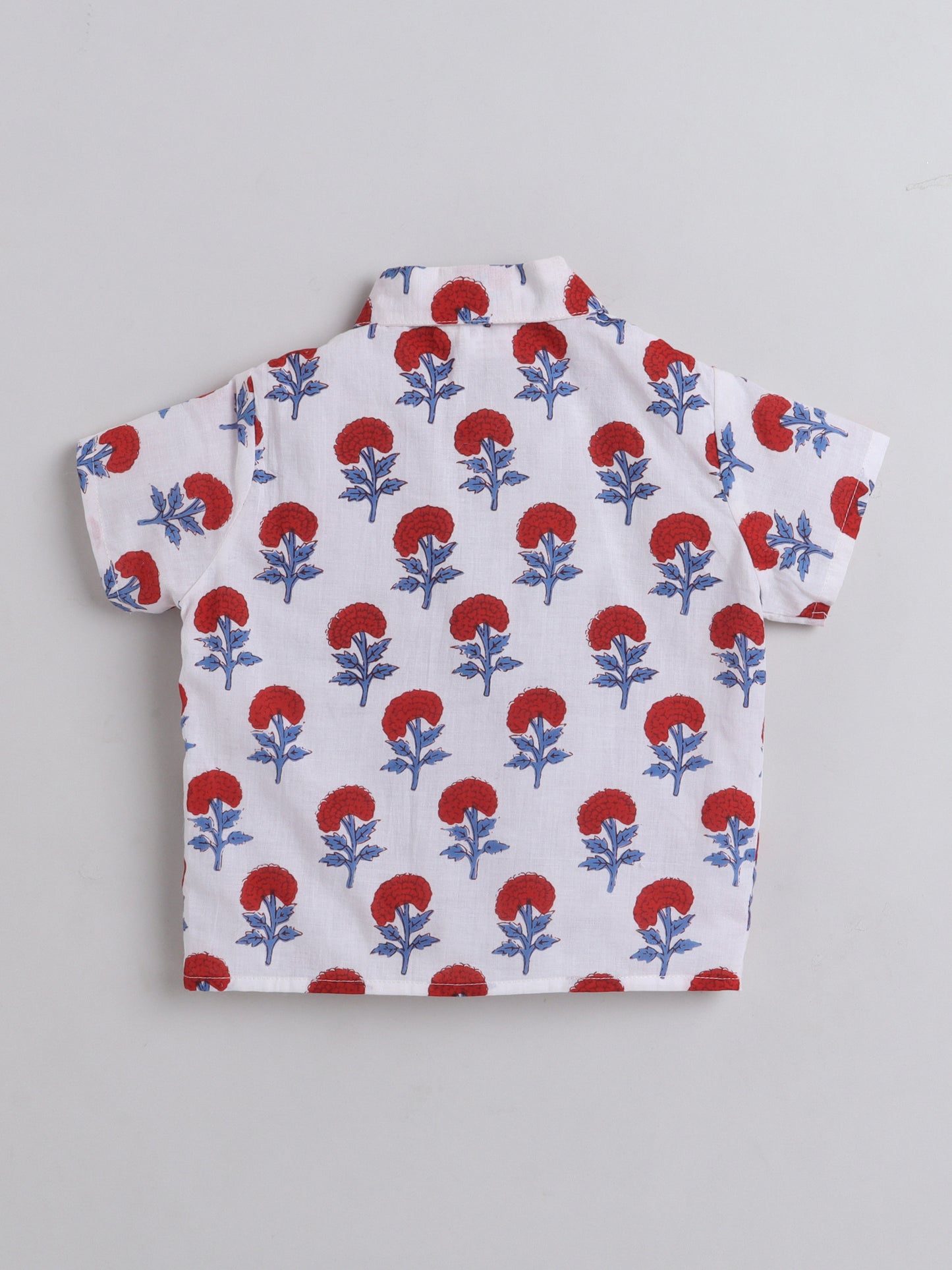 Hand Block Printed Cotton Short Sleeves Tie up Shirt and Striped Harem Pant Set For Girls Red