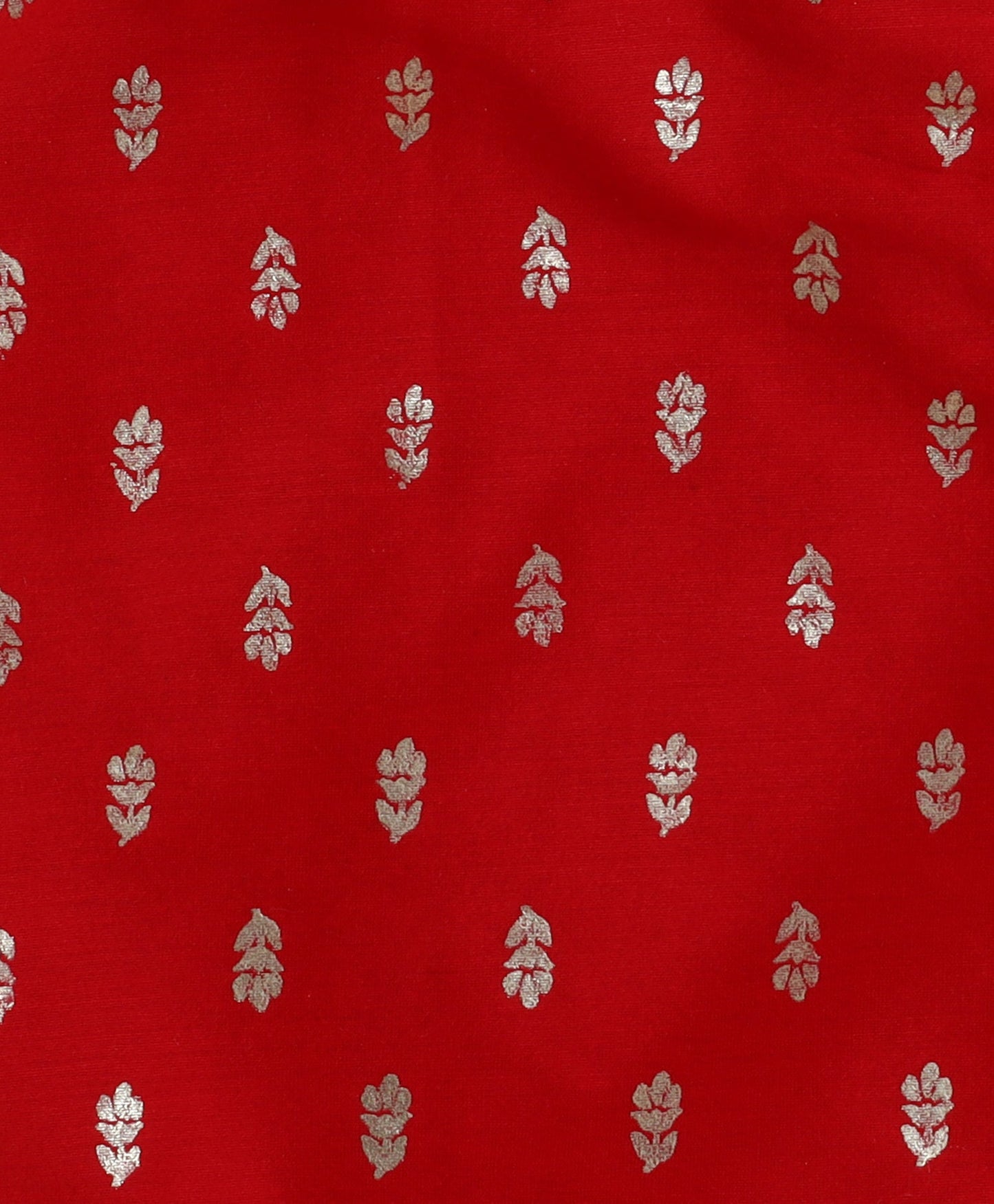 Woven Sleeveless Butti Printed Top and Pleated Foil Pants - Red
