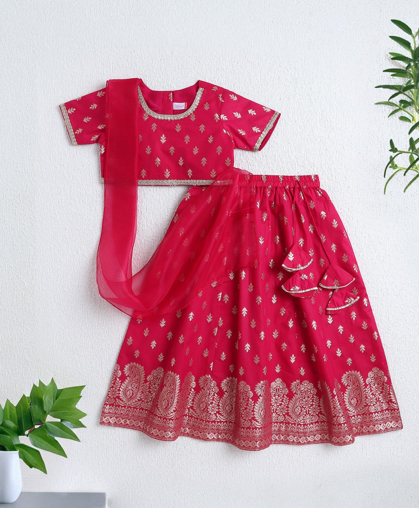 The Magic Wand Jacquard Half Sleeves Choli and Lehenga Set with Dupatta - Fuchsia