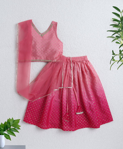 The Magic Wand Woven Sleevesless Ombre Dyed Foil Lehenga & Choli with Dupatta - Pink
