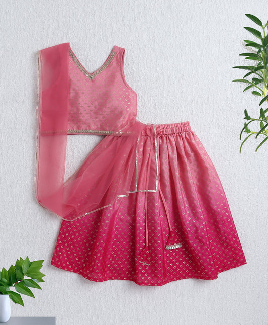 The Magic Wand Woven Sleevesless Ombre Dyed Foil Lehenga & Choli with Dupatta - Pink