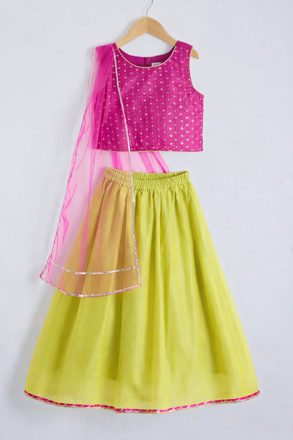 The Magic Wand Woven Sleeveless Embellished Printed Lehenga Choli With Dupatta - Fuchsia