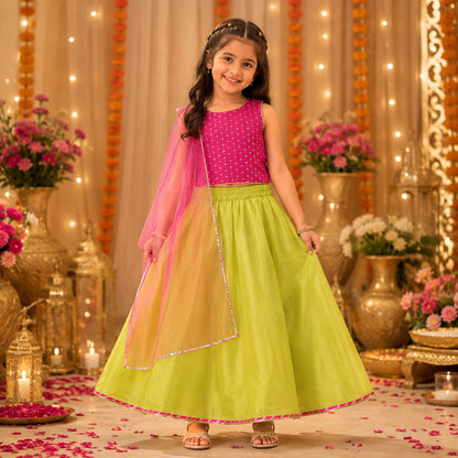 The Magic Wand Woven Sleeveless Embellished Printed Lehenga Choli With Dupatta - Fuchsia