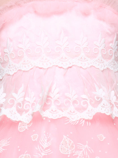 Embroidered Fit & Flare Dress With Lace Insert