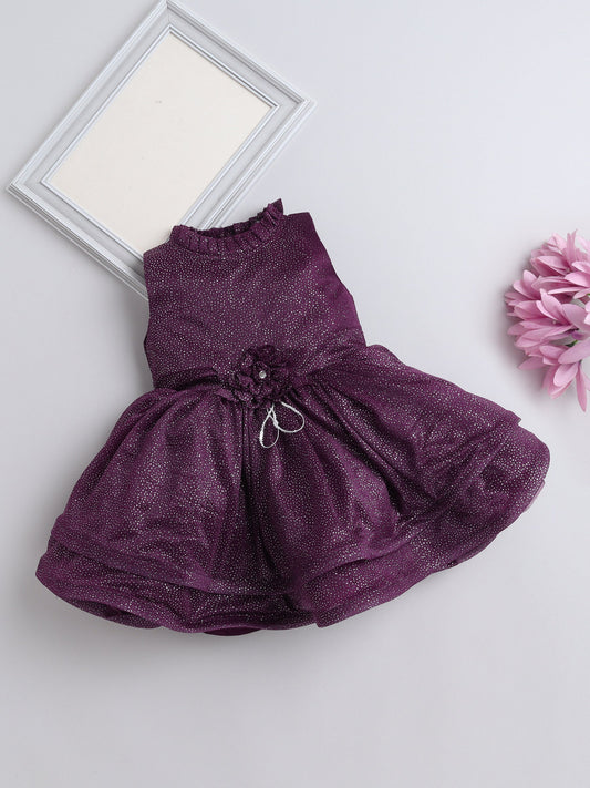Sleeveless Shimmer Detailed Fit & Flare Party Dress With Corsage - Magenta