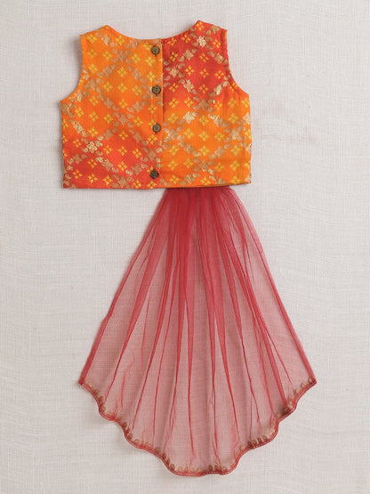 The Magic Wand Sleeveless Embellished Kota Doria Lehenga Choli Set with Attached Dupatta  Red