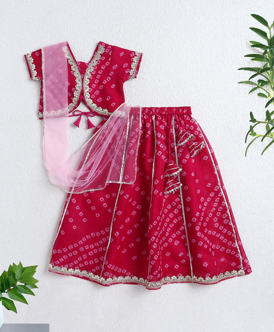 The Magic Wand Woven Half Sleeves Bandhani Printed Choli & Lehenga Set with Dupatta- Fuchsia