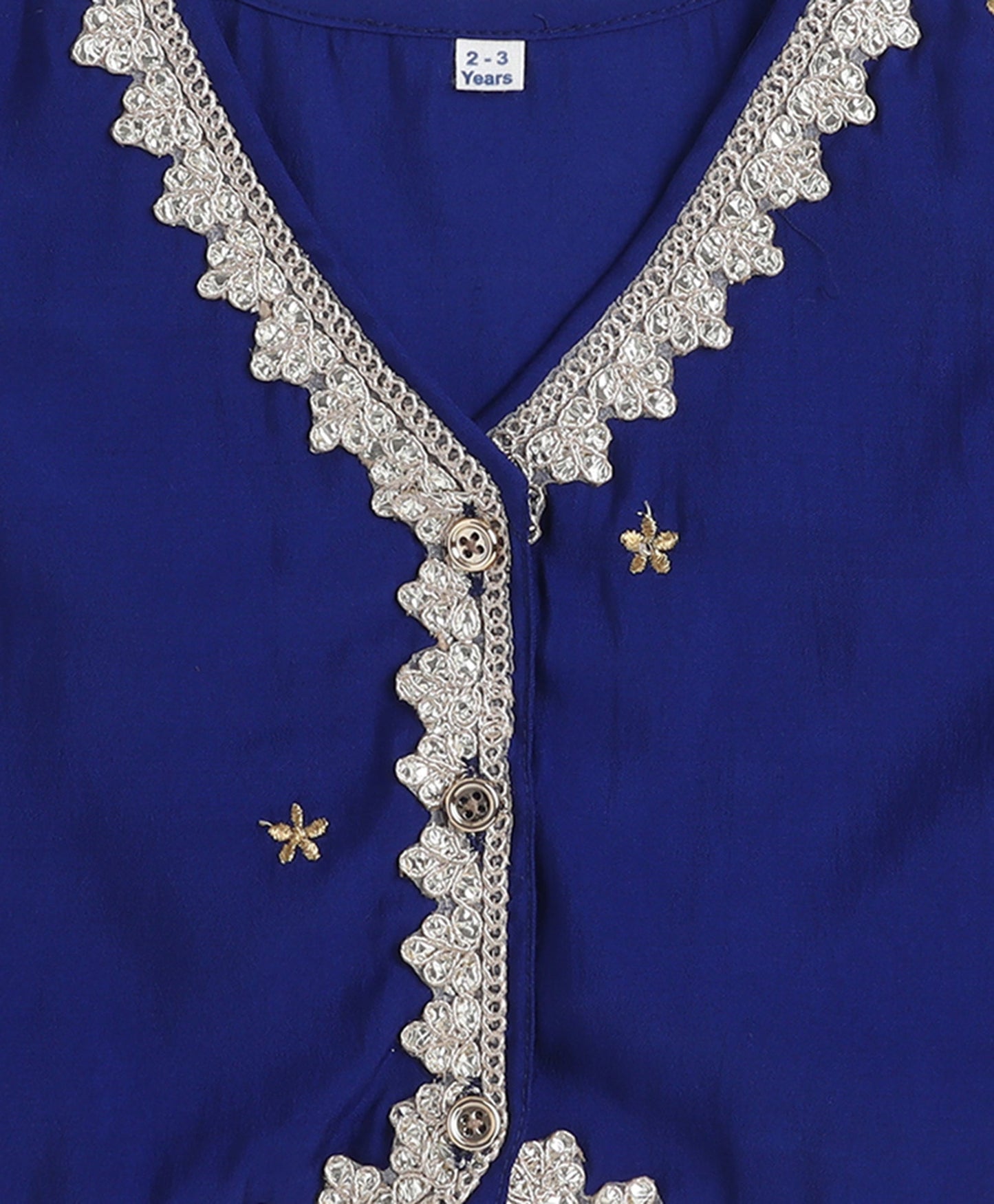 Woven Sleeveless Zari Embroidery Choli and Lehenga Set- Blue