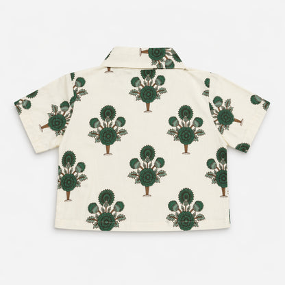 The Magic Wand Cambric Cotton Woven Half Sleeves Stripes Floral Printed Shirt And Pant Set - White