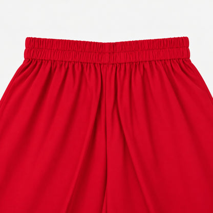 The Magic Wand Woven Sleeveless Fringe Laced Top and Palazzo Set - Red