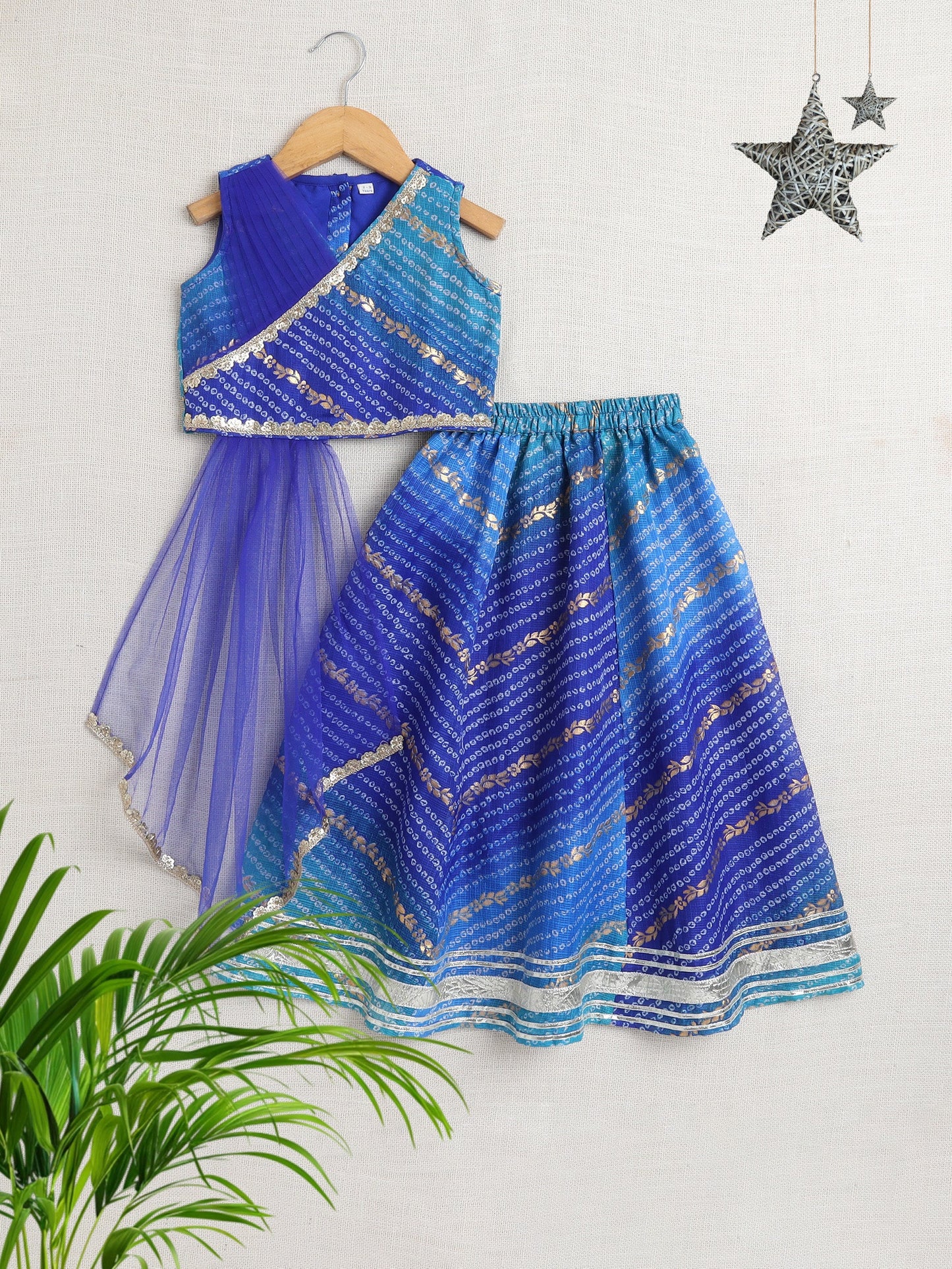 Sleeveless Lace Embellished Choli With Lehenga Set -Blue