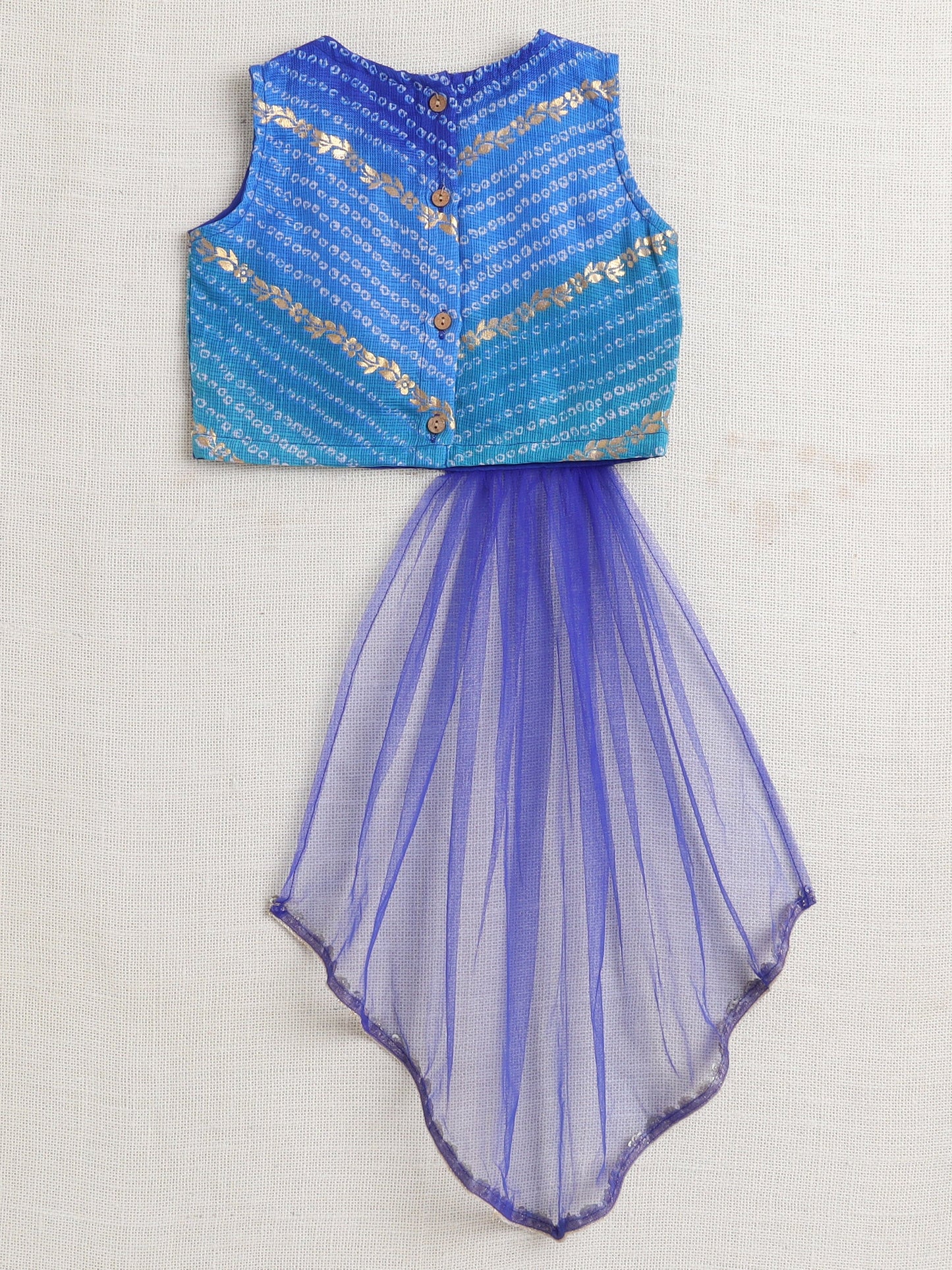 Sleeveless Lace Embellished Choli With Lehenga Set -Blue