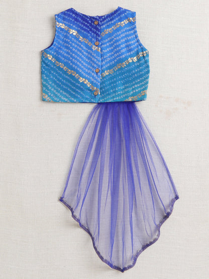 Sleeveless Lace Embellished Choli With Lehenga Set -Blue