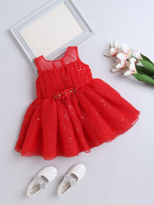 The Magic Wand Sleeveless Floral Applique Detailed Shimmered Net Dress - Red