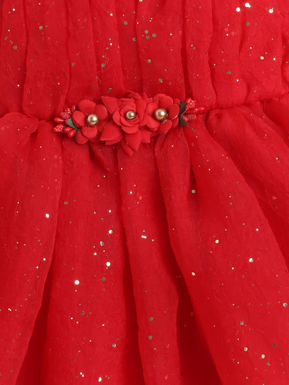 The Magic Wand Sleeveless Floral Applique Detailed Shimmered Net Dress - Red