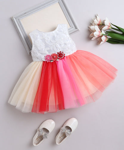 The Magic Wand Net Sleeveless Flower Appilque Party Dress-  Multi Color