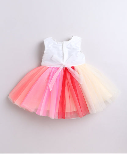The Magic Wand Net Sleeveless Flower Appilque Party Dress-  Multi Color