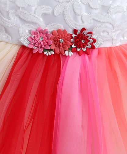 The Magic Wand Net Sleeveless Flower Appilque Party Dress-  Multi Color