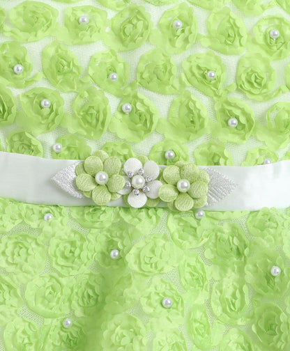 The Magic Wand Woven Sleeveless Pearl Embellished Tulle Dress - Green