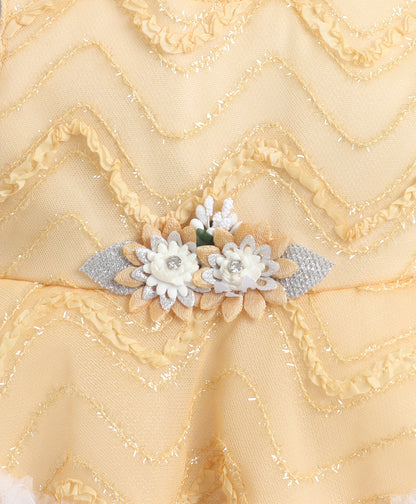 The Magic Wand Woven Sleeveless Zig Zag Laced Flared Tulle Dress With Floral Applique - Beige
