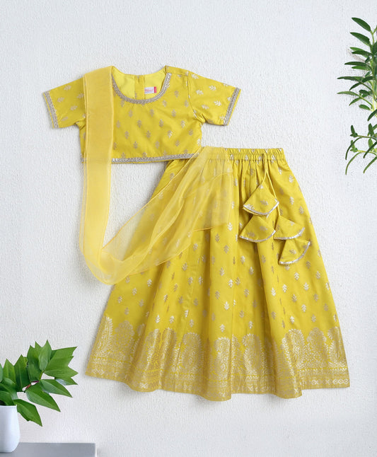 The Magic Wand Jacquard Half Sleeves Choli and Lehenga Set with Dupatta - Yellow