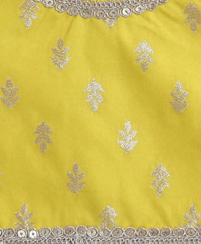 The Magic Wand Jacquard Half Sleeves Choli and Lehenga Set with Dupatta - Yellow